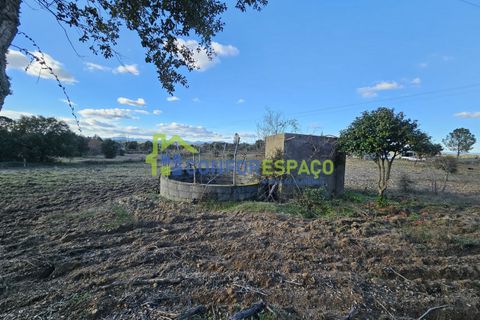 Helårsgrund i Castelo Branco, Castelo Branco, Castelo Branco - € 75.000 | Ref: 24008 - foto 14