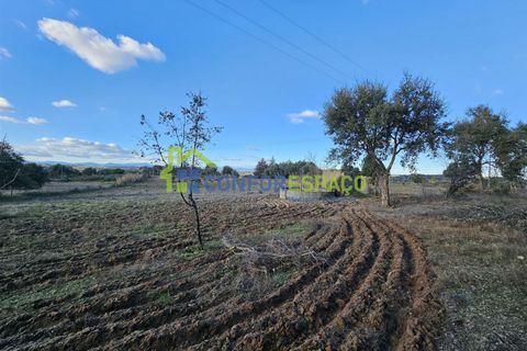 Helårsgrund i Castelo Branco, Castelo Branco, Castelo Branco - € 75.000 | Ref: 24008 - foto 15