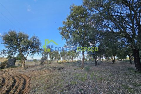 Helårsgrund i Castelo Branco, Castelo Branco, Castelo Branco - € 75.000 | Ref: 24008 - foto 16