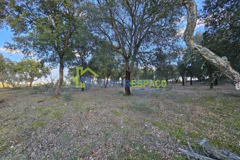 Helårsgrund i Castelo Branco, Castelo Branco, Castelo Branco - € 75.000 | Ref: 24008 - foto 17