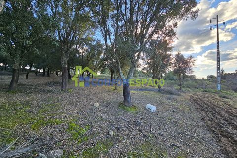 Helårsgrund i Castelo Branco, Castelo Branco, Castelo Branco - € 75.000 | Ref: 24008 - foto 19