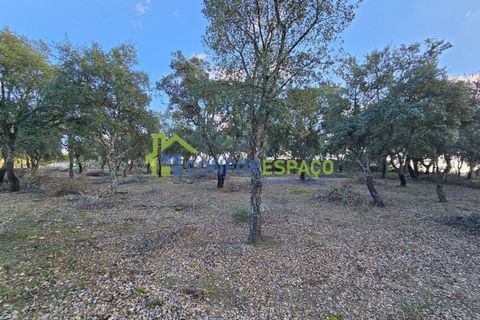 Helårsgrund i Castelo Branco, Castelo Branco, Castelo Branco - € 75.000 | Ref: 24008 - foto 21