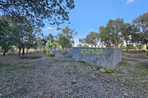 Helårsgrund i Castelo Branco, Castelo Branco, Castelo Branco - € 75.000 | Ref: 24008 - foto 23