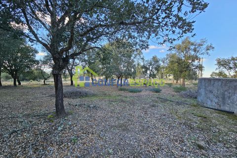 Helårsgrund i Castelo Branco, Castelo Branco, Castelo Branco - € 75.000 | Ref: 24008 - foto 24