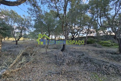 Helårsgrund i Castelo Branco, Castelo Branco, Castelo Branco - € 75.000 | Ref: 24008 - foto 25