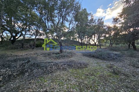 Helårsgrund i Castelo Branco, Castelo Branco, Castelo Branco - € 75.000 | Ref: 24008 - foto 26