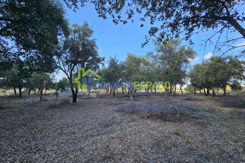 Helårsgrund i Castelo Branco, Castelo Branco, Castelo Branco - € 75.000 | Ref: 24008 - foto 27