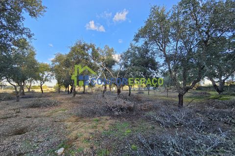 Helårsgrund i Castelo Branco, Castelo Branco, Castelo Branco - € 75.000 | Ref: 24008 - foto 28
