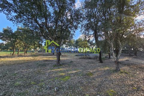 Helårsgrund i Castelo Branco, Castelo Branco, Castelo Branco - € 75.000 | Ref: 24008 - foto 31