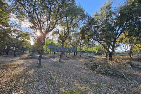 Helårsgrund i Castelo Branco, Castelo Branco, Castelo Branco - € 75.000 | Ref: 24008 - foto 32