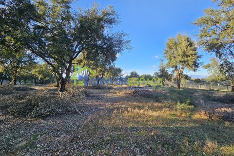 Helårsgrund i Castelo Branco, Castelo Branco, Castelo Branco - € 75.000 | Ref: 24008 - foto 34