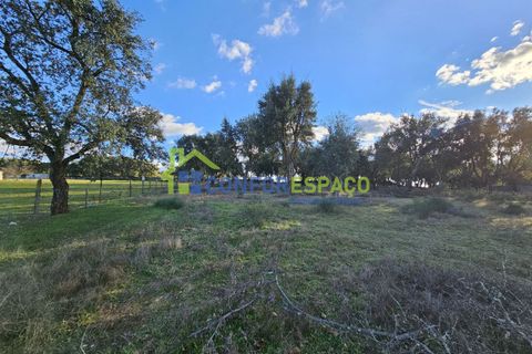 Helårsgrund i Castelo Branco, Castelo Branco, Castelo Branco - € 75.000 | Ref: 24008 - foto 35