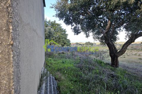 Helårsgrund i Castelo Branco, Castelo Branco, Castelo Branco - € 75.000 | Ref: 24008 - foto 36