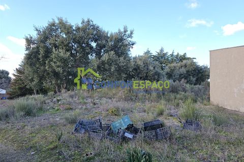 Helårsgrund i Castelo Branco, Castelo Branco, Castelo Branco - € 75.000 | Ref: 24008 - foto 37