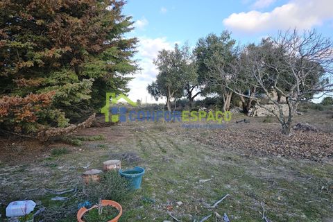 Helårsgrund i Castelo Branco, Castelo Branco, Castelo Branco - € 75.000 | Ref: 24008 - foto 38