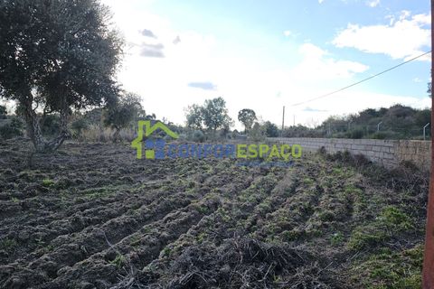 Helårsgrund i Castelo Branco, Castelo Branco, Castelo Branco - € 75.000 | Ref: 24008 - foto 39