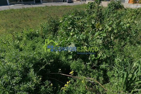 Helårsgrund i Castelo Branco, Castelo Branco, Castelo Branco - € 180.000 | Ref: 24033 - foto 2