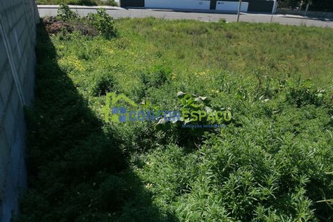 Helårsgrund i Castelo Branco, Castelo Branco, Castelo Branco - € 180.000 | Ref: 24033 - foto 3