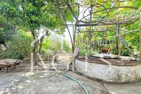 Villa i Almeirim, Santarem, Almeirim - € 530.000 | Ref: 1870 - foto 40