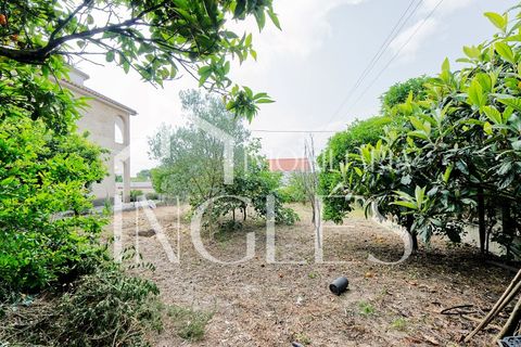Villa i Almeirim, Santarem, Almeirim - € 530.000 | Ref: 1870 - foto 42