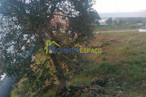 Helårsgrund i Castelo Branco, Castelo Branco, Castelo Branco - € 36.000 | Ref: 24026 - foto 5