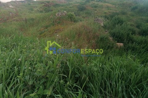 Helårsgrund i Castelo Branco, Castelo Branco, Castelo Branco - € 36.000 | Ref: 24026 - foto 11
