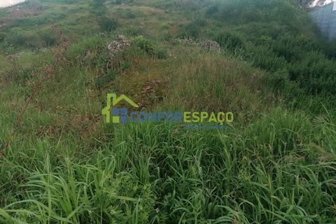Helårsgrund i Castelo Branco, Castelo Branco, Castelo Branco - € 36.000 | Ref: 24026 - foto 12