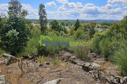 Helårsgrund i Castelo Branco, Castelo Branco, Castelo Branco - € 25.500 | Ref: 25032 - foto 2