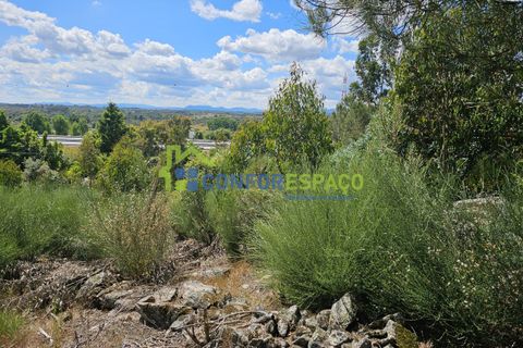 Helårsgrund i Castelo Branco, Castelo Branco, Castelo Branco - € 25.500 | Ref: 25032 - foto 3