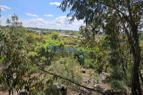 Helårsgrund i Castelo Branco, Castelo Branco, Castelo Branco - € 25.500 | Ref: 25032 - foto 5