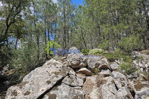 Helårsgrund i Castelo Branco, Castelo Branco, Castelo Branco - € 25.500 | Ref: 25032 - foto 6