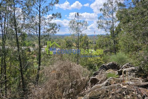 Helårsgrund i Castelo Branco, Castelo Branco, Castelo Branco - € 25.500 | Ref: 25032 - foto 7