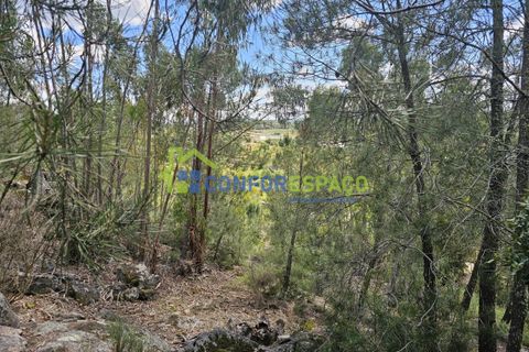 Helårsgrund i Castelo Branco, Castelo Branco, Castelo Branco - € 25.500 | Ref: 25032 - foto 9