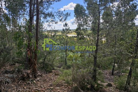 Helårsgrund i Castelo Branco, Castelo Branco, Castelo Branco - € 25.500 | Ref: 25032 - foto 10