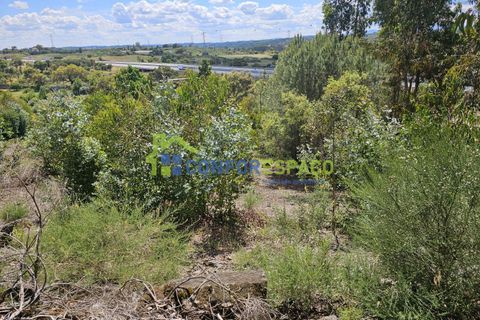 Helårsgrund i Castelo Branco, Castelo Branco, Castelo Branco - € 25.500 | Ref: 25032 - foto 12
