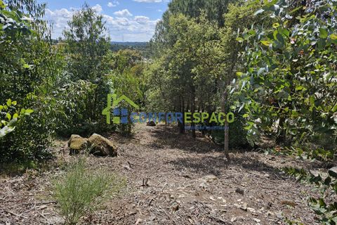 Helårsgrund i Castelo Branco, Castelo Branco, Castelo Branco - € 25.500 | Ref: 25032 - foto 13