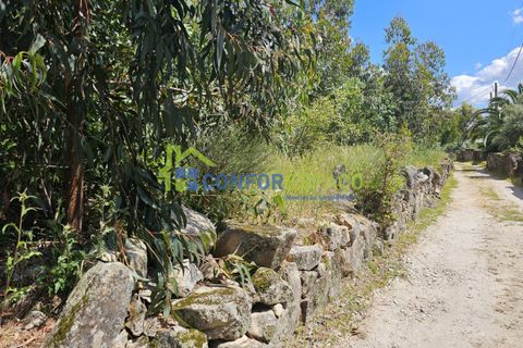 Helårsgrund i Castelo Branco, Castelo Branco, Castelo Branco - € 25.500 | Ref: 25032 - foto 15