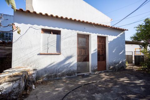 Villa i Couco, Santarem, Couco - € 135.000 | Ref: PE-123751418-183 - foto 3