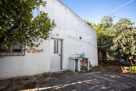 Villa i Couco, Santarem, Couco - € 135.000 | Ref: PE-123751418-183 - foto 5