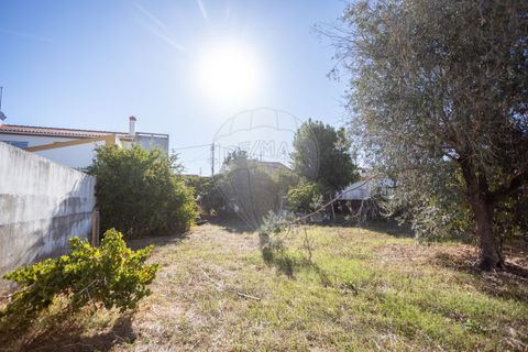 Villa i Couco, Santarem, Couco - € 135.000 | Ref: PE-123751418-183 - foto 7