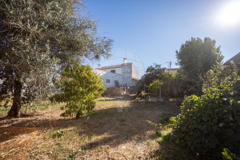 Villa i Couco, Santarem, Couco - € 135.000 | Ref: PE-123751418-183 - foto 10