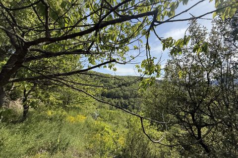 Villa a Montferrer, Pyrenees-Orientales, Montferrer - € 125.000 | Ref: 6432VMM - foto 29