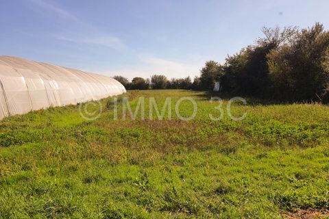 Landejendom i Sauze-Vaussais, Deux-Sevres, Sauze-Vaussais - € 150.000 | Ref: 5219 - foto 26