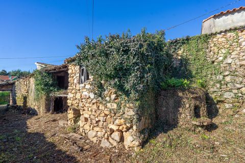 Villa i Gois, Coimbra, Gois - € 19 700 | Ref: C0289-01665 - foto 7