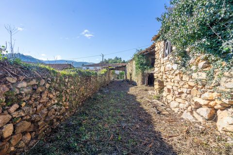 Villa i Gois, Coimbra, Gois - € 19 700 | Ref: C0289-01665 - foto 9
