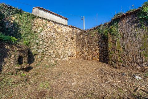 Villa i Gois, Coimbra, Gois - € 19 700 | Ref: C0289-01665 - foto 10