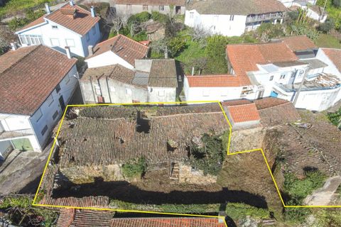 Villa i Gois, Coimbra, Gois - € 19 700 | Ref: C0289-01665 - foto 14