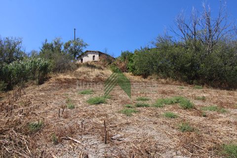 Landejendom i Teramo, Teramo, Teramo - € 300.000 | Ref: T1389 - foto 7
