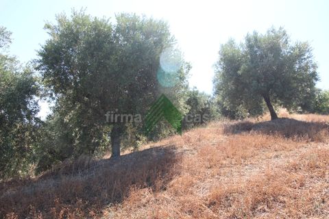 Landejendom i Teramo, Teramo, Teramo - € 300.000 | Ref: T1389 - foto 12
