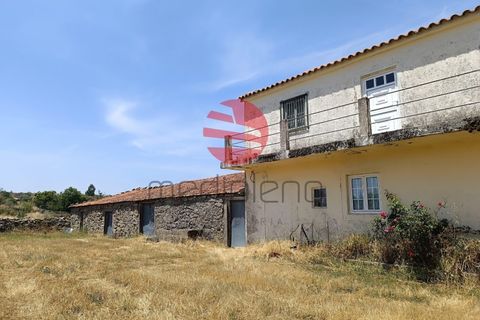 Farm i Penedono, Viseu, Penedono - € 90.000 | Ref: 1756 - foto 5